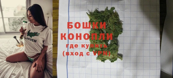 индика Вязники
