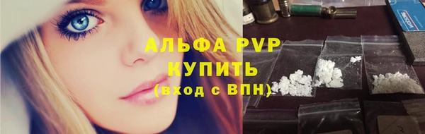 индика Вязники