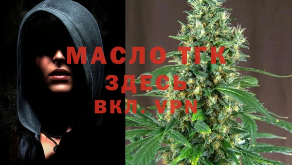 индика Вязники