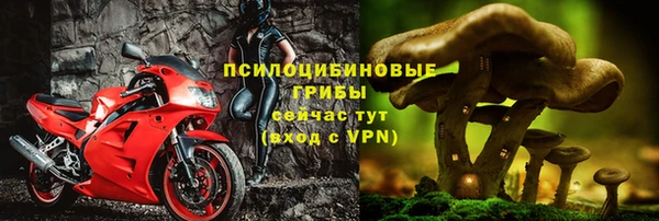 индика Вязники