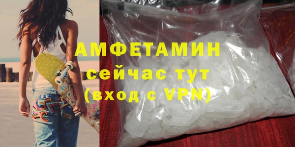 индика Вязники
