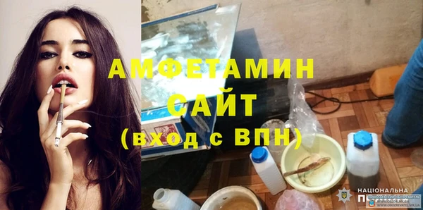 индика Вязники