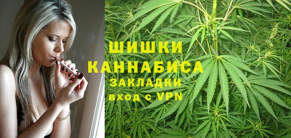 крисы Вязьма