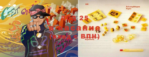 крисы Вязьма