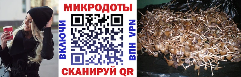Купить  Змеиногорск  Псилоцибиновые грибы прущие грибы 